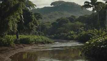 Person Walking Along a Calm Creek in a Lush Tropical Forest photo