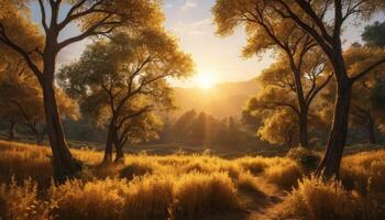 Serene Sunset Landscape with Golden Grass and Trees photo