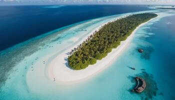 Aerial View of Tropical Island with Lush Palm Trees and Turquoise Water photo