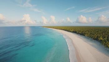 Aerial View of Tropical Beach with Turquoise Water and Palm Trees photo