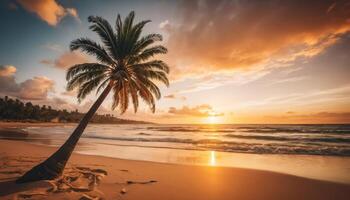 Tropical Beach Sunset with Leaning Palm Tree photo
