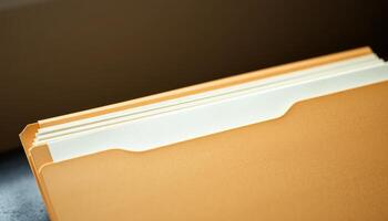 Close Up Of Brown Folder With White Dividers photo