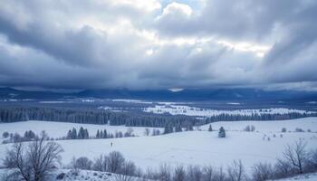 Snowy Fields Under a Dramatic Winter Sky photo