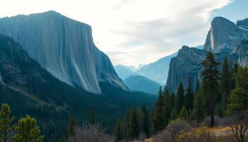 Majestic Mountain Range Panorama Granite Cliffs, Lush Valley, and Evergreen Forest photo