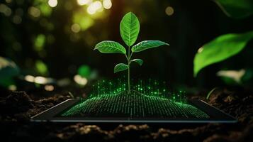 green seedling grows from tablet, symbolizing eco friendly technology and innovation. vibrant leaves and digital elements represent sustainable future photo