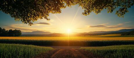 stunning sunset over green field with trees and corn plants, creating serene landscape. warm sunlight casts golden hue, enhancing beauty of nature photo