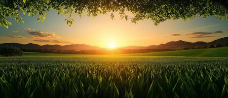 serene sunset over lush green field with distant mountains, creating peaceful atmosphere. vibrant colors of sky reflect beauty of nature photo