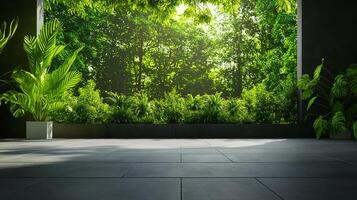 serene empty concrete wall background showcases minimal garden with lush greenery and vibrant plants, creating peaceful atmosphere photo
