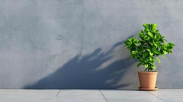 potted plant stands against blank gray wall, casting soft shadow on floor, creating serene and minimalist atmosphere photo