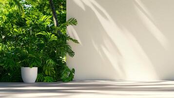 serene outdoor scene featuring blank wall and lush green foliage, creating peaceful atmosphere. sunlight casts gentle shadows, enhancing tranquil setting photo