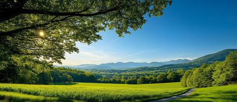 serene landscape featuring vibrant green field, lush trees, and distant mountains under clear blue sky. sunlight filters through leaves, creating peaceful atmosphere photo