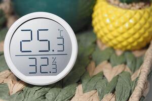 Temperature and humidity display on a decorative table setting photo