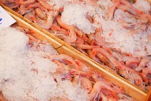 Fresh shrimp displayed on ice at a market stall in the afternoon photo