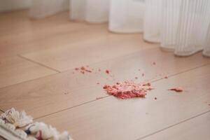 Messy red substance spills on wooden floor near curtains photo