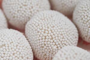 Unique white spherical structures with textured surfaces on display photo