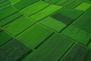 Plant-based ethics concept. Aerial view of vibrant green farmland showcasing various patterns and textures of crops in neatly organized fields. photo
