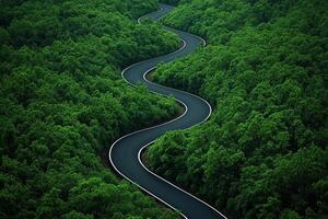Growth mindset adaptability concept. Winding road through lush green forest landscape. photo