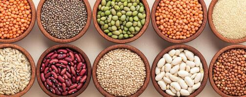 Plant-based protein with eco-friendly concept. Colorful bowls filled with various types of grains and legumes arranged neatly. photo