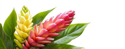 A vibrant and colorful flower arrangement featuring yellow, pink, and red blooms, surrounded by lush green leaves. photo