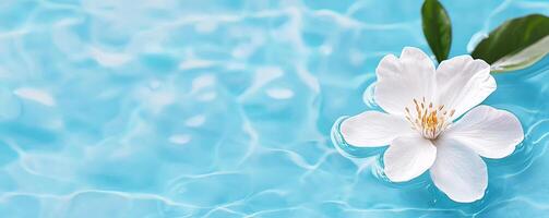 A serene image of a white flower floating on tranquil blue water, evoking calmness and natural beauty. photo
