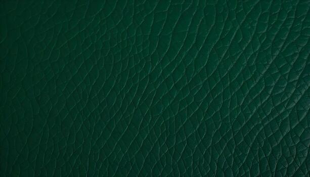 Dark green leather texture with visible grain patterns and a smooth, polished surface photo