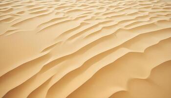 Serene Beach Sand with Soft, Organic Patterns photo