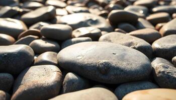Smooth gray river rocks in a shallow stream or pond, with a shallow depth of field creating a blurred background photo