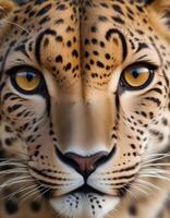 Captivating stare of a female leopard, with soft focus rosette fur enhancing her fierce expression photo