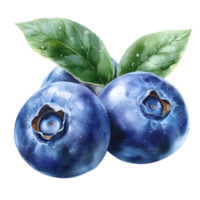 Closeup View of Fresh Ripe Blueberries with Green Leaves on White Background png