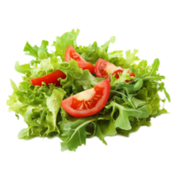 Appetizing fresh green salad with tomato and crisp lettuce on plate for healthy meal or snack png