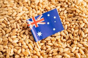 Australia flag with Wheat and grains ears photo