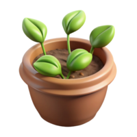 beautiful modern Sprouting Seeds in Pot Isolated Cutout authentic png