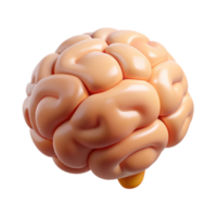 magnificent rustic Thinking Brain Icon Flat Design Isolated on White premium png