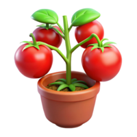 wonderful minimalist Tomato Plant with Ripe Tomatoes Cutout premium png