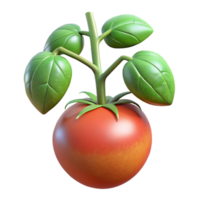 elegant abstract Tomato Plant with Ripe Tomatoes Cutout png