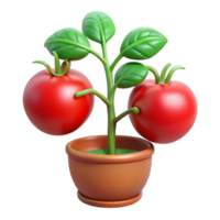 extraordinary rustic Tomato Plant with Ripe Tomatoes Cutout premium png