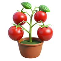 serene minimalist Tomato Plant with Ripe Tomatoes Cutout genuine png