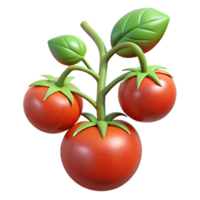 impressive minimalist Tomato Plant with Ripe Tomatoes Cutout high resolution png
