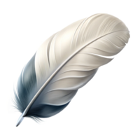 vibrant abstract White Feather Floating Isolated png