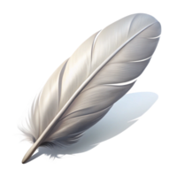 magnificent traditional White Feather with Shadow Isolated detailed png