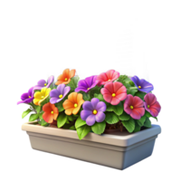 serene traditional Window Box Flower Display Isolated Colorful Petunias detailed png