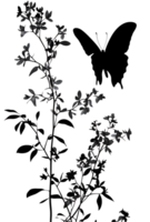 Silhouette of butterfly and flower png