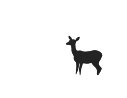 Dark silhouette of a deer against a black background. transparent bg png