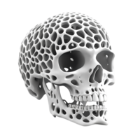 3D printed skull model with intricate lattice structure png