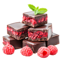 Rich Dark Chocolate Raspberry Treats with Mint Garnish on png