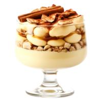 Creamy dessert with layers of custard, cereal, and cinnamon topping png
