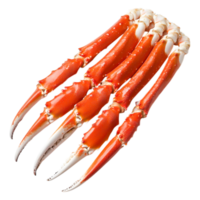 Fresh Red Crab Claws Isolated on for Culinary Use png