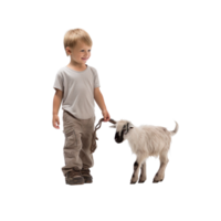 A boy walking with goat isolated on transparent background png