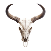A skull of a bull with horns isolated on transparent background png
