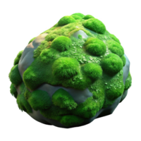 extraordinary minimalist A Lush Green Moss Covered Rock in a Rainf original png